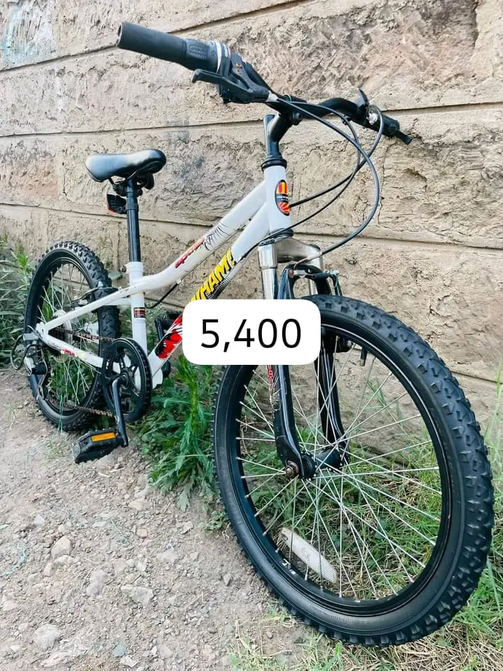BMX bike size 18 inch